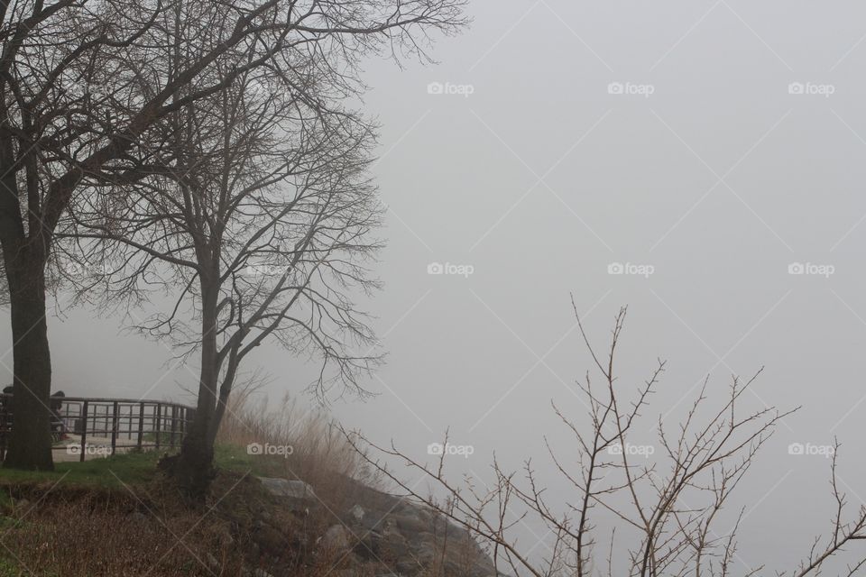 fog