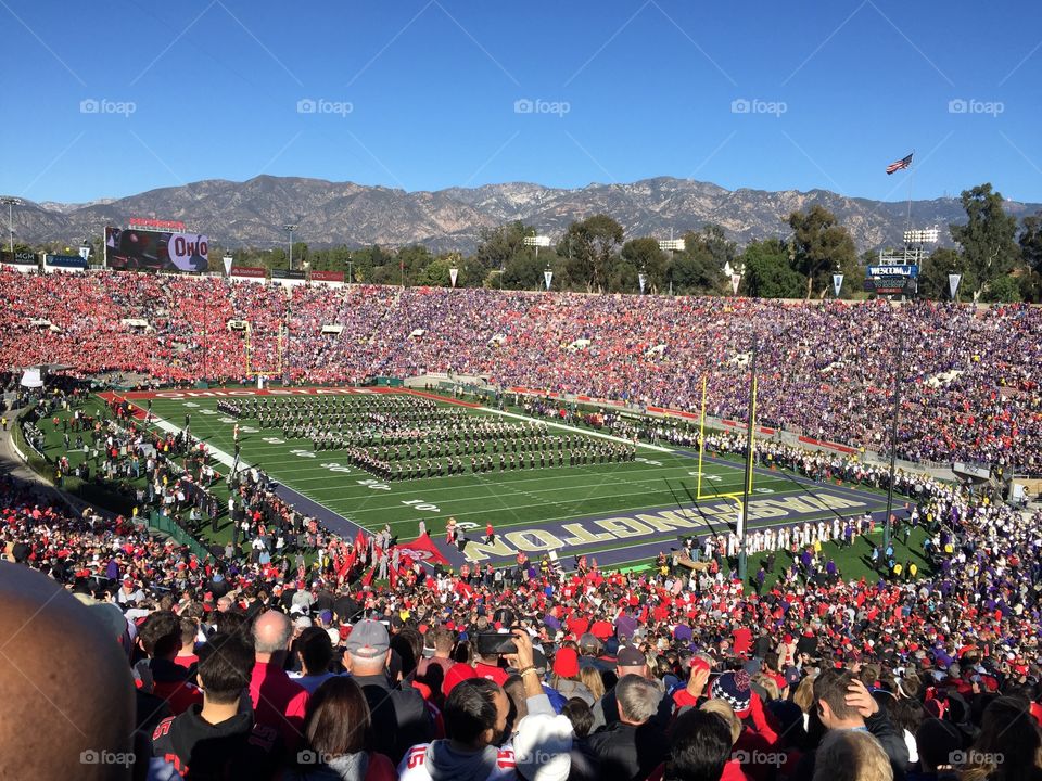 Rose bowl