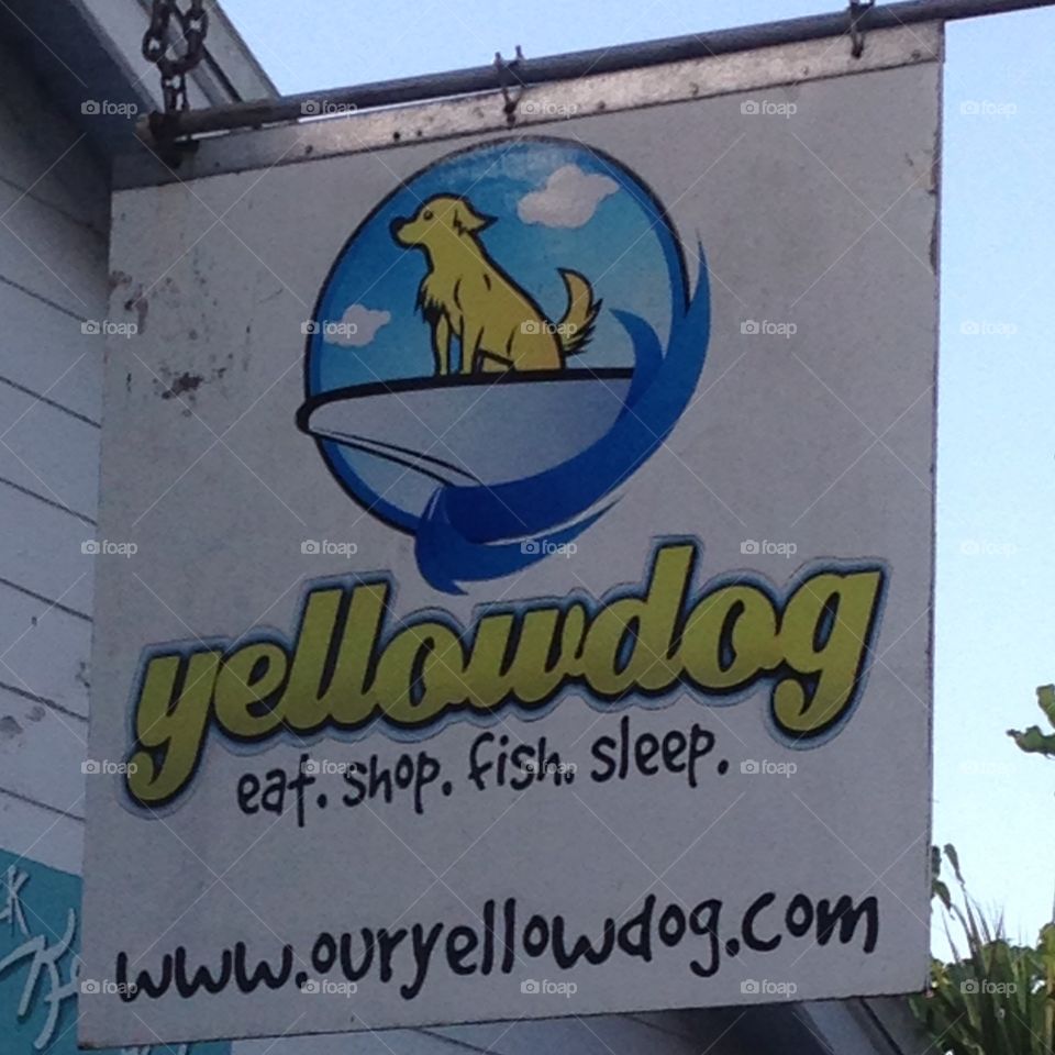Yellow dog business sign