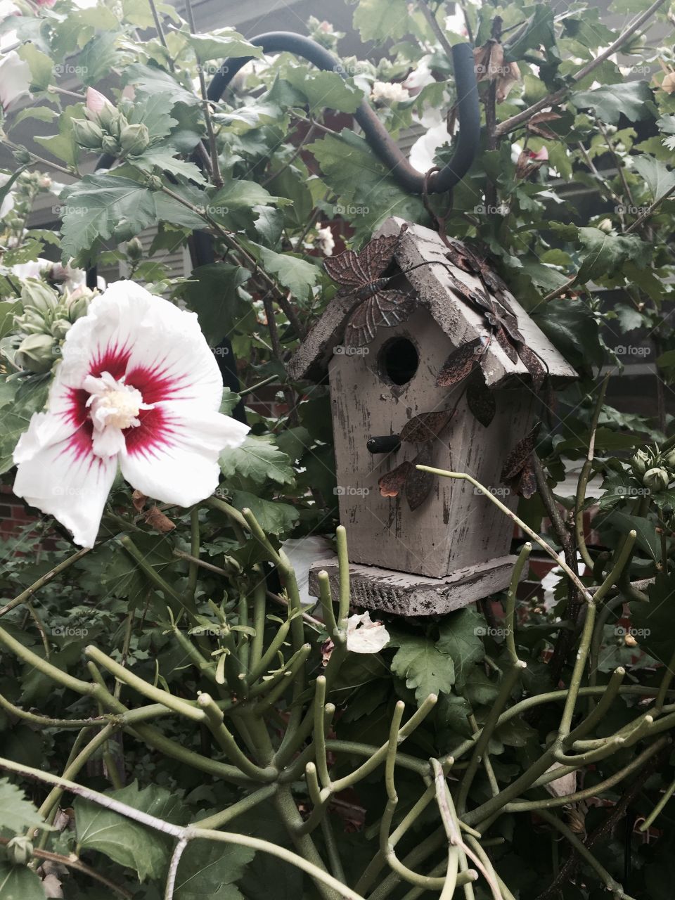 Birdhouse in bush setting 