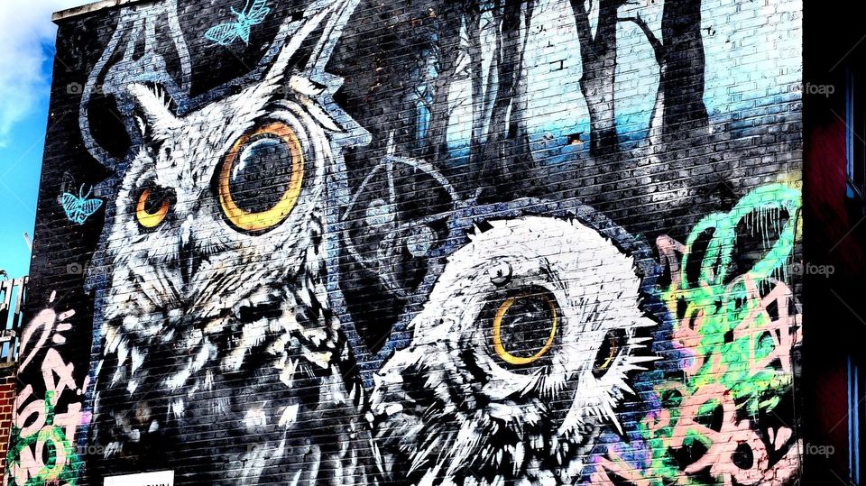Graffiti owls
