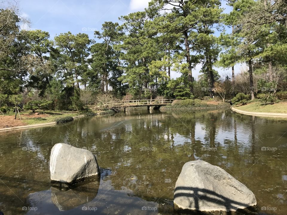 Japanese Gardens in Houston