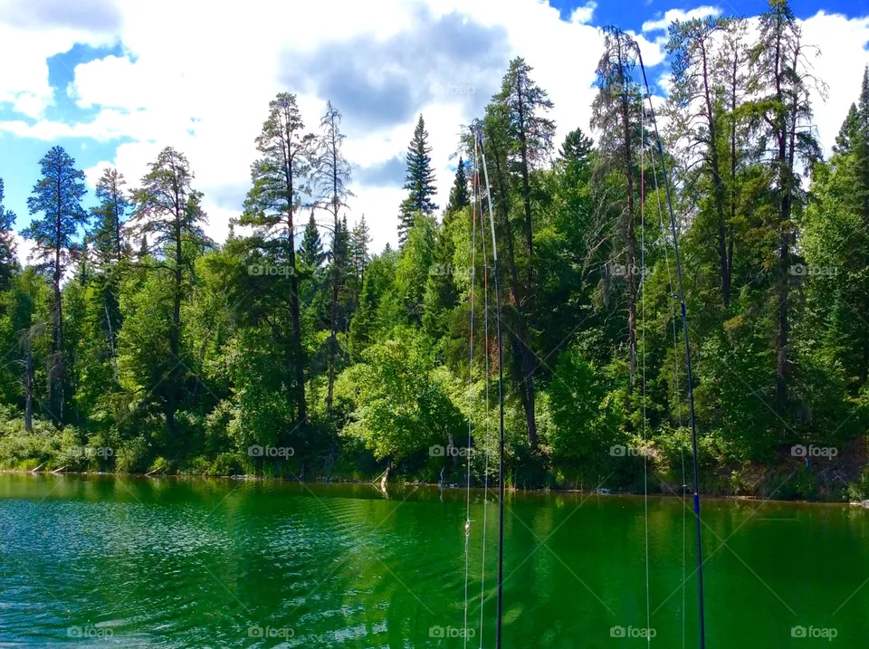 Green lake