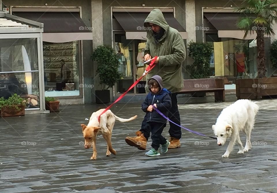 Man, little boy walking the dogs