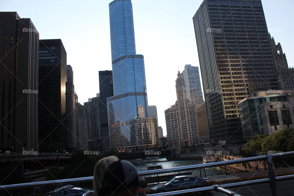 Buildings downtown Illinois 