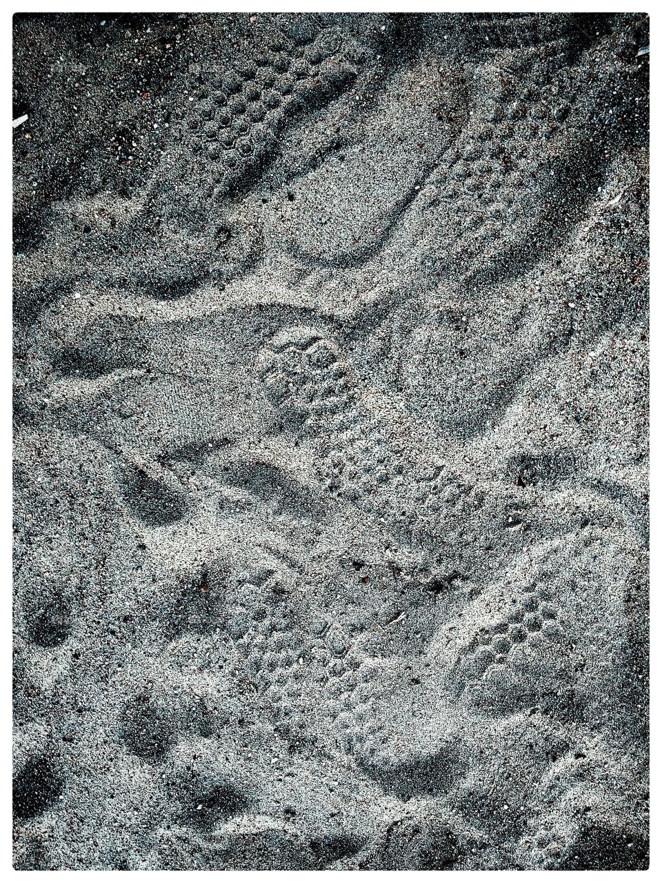 sand texture02