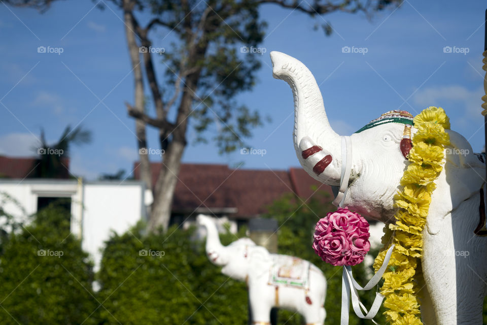 white elephant statue as shown the thailand's authentic