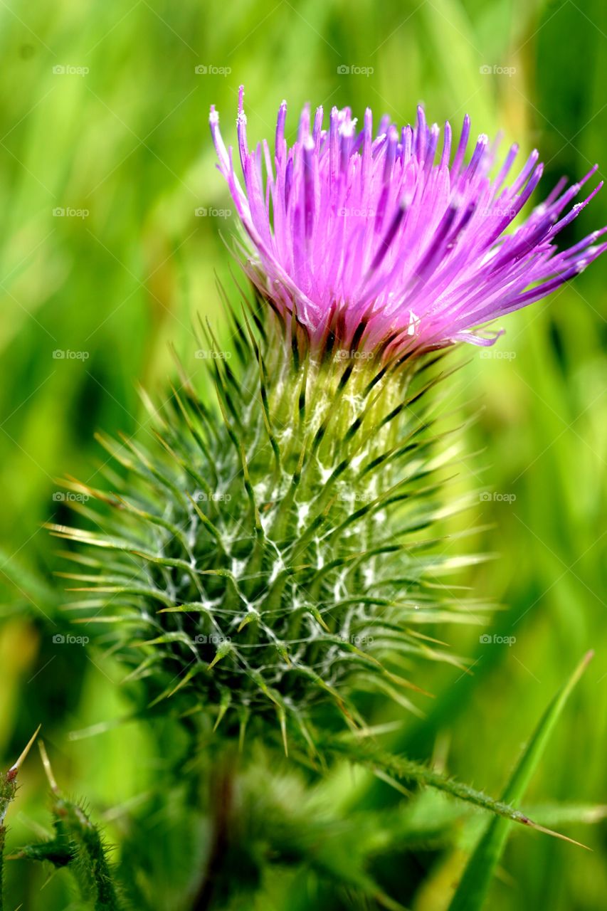 Last colours before autum