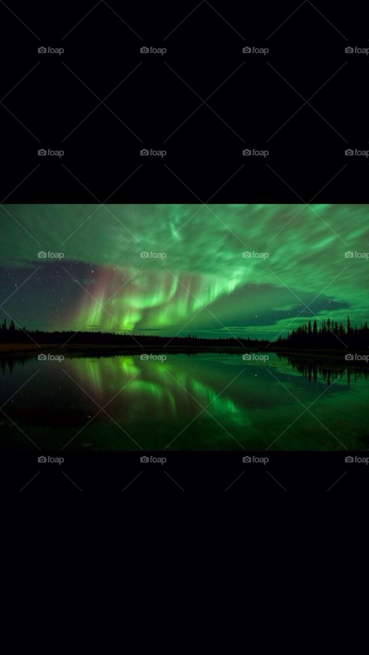 Northern Lights 