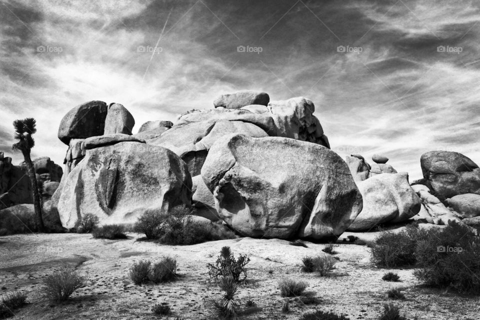 joshua tree stones