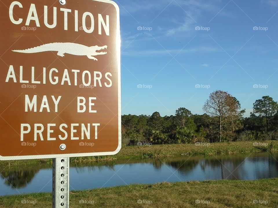 Water is for Gator Homes