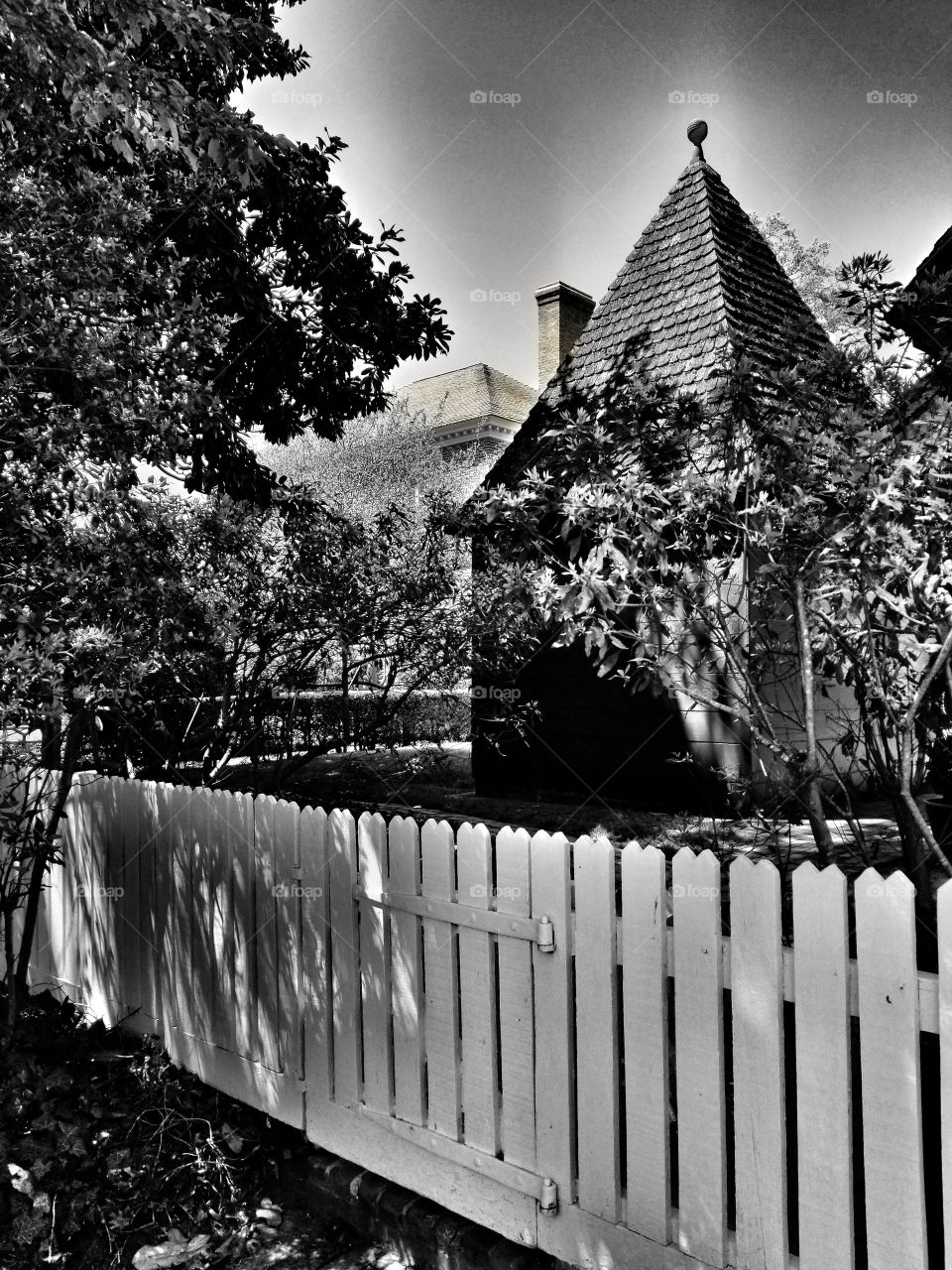 black and white Williamsburg