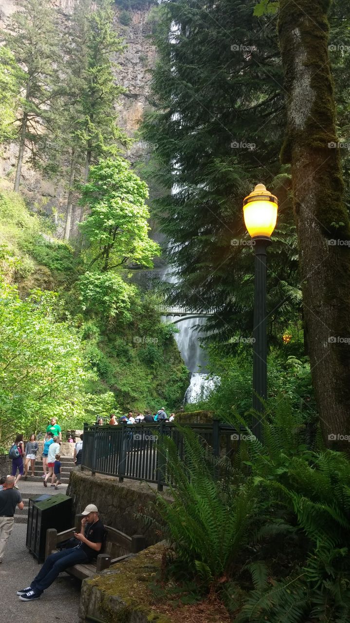 light to the waterfall