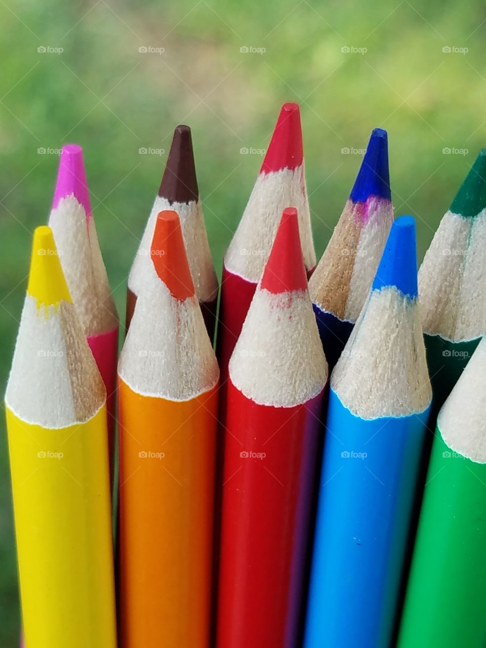 Pencil, Crayon, Xxxxxxxx, School, No Person