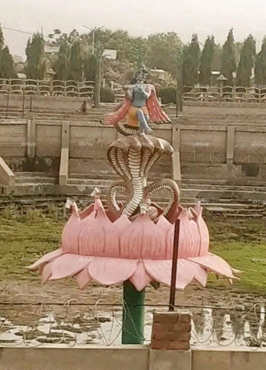 August 14, 2023  India, A most beautiful and attractive view in the garden.