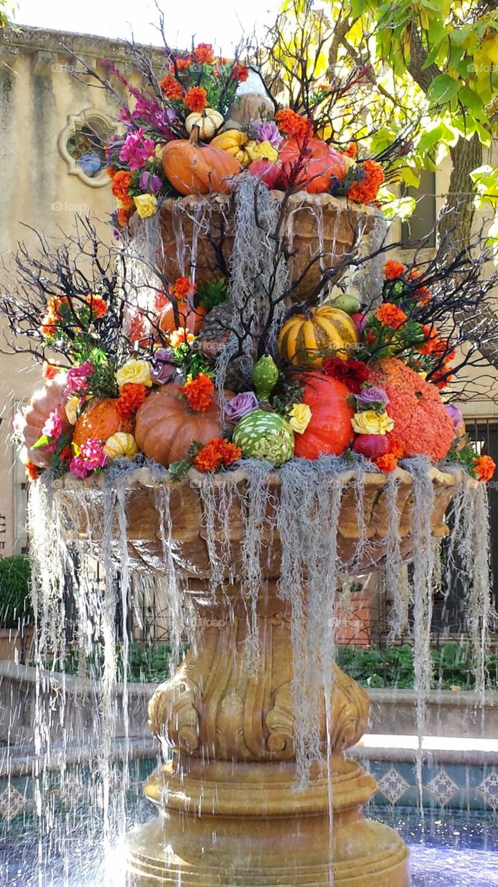 Fall Fountain