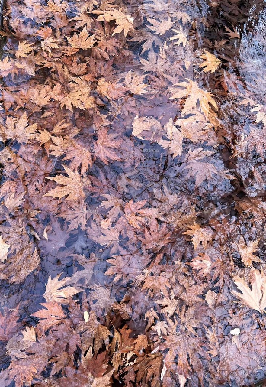 Natural art painting