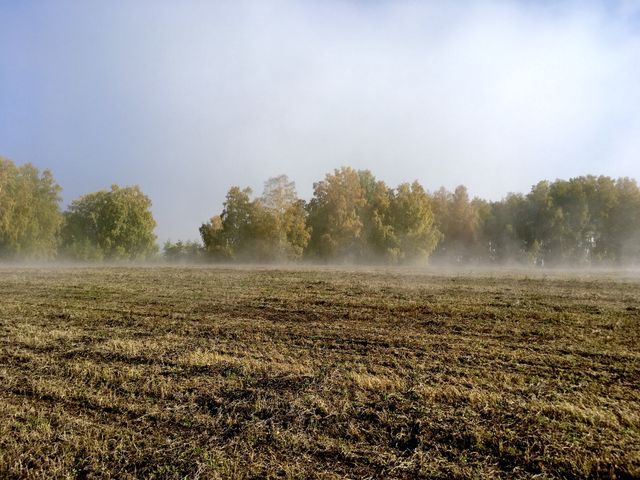 Autumn in Siberia 