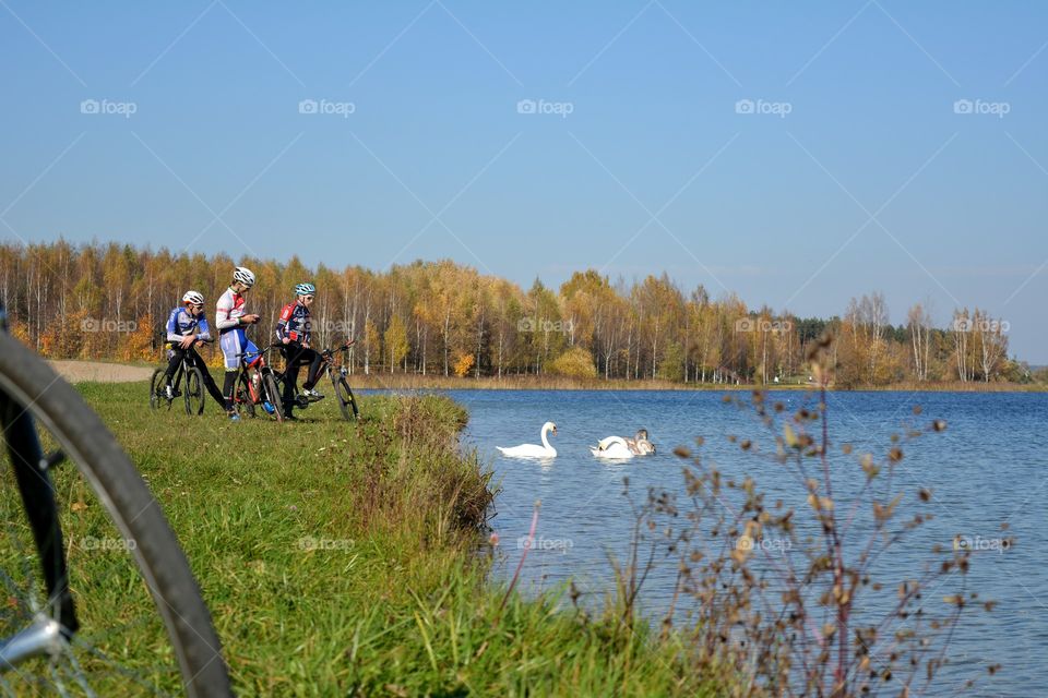 people on a bikes and swans family on a lake beautiful autumn landscape, magic outside