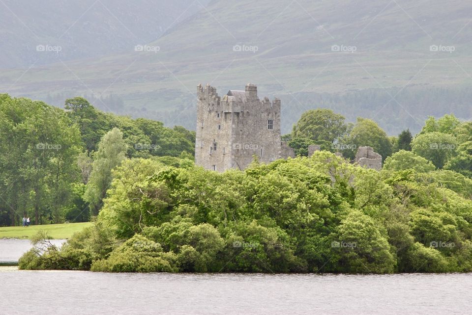 Castle in trees