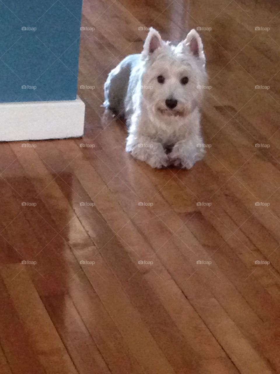 Call me, please, call me