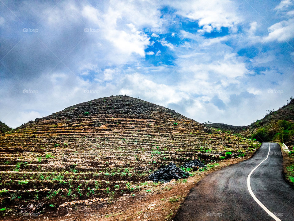 Maize hill in the summer