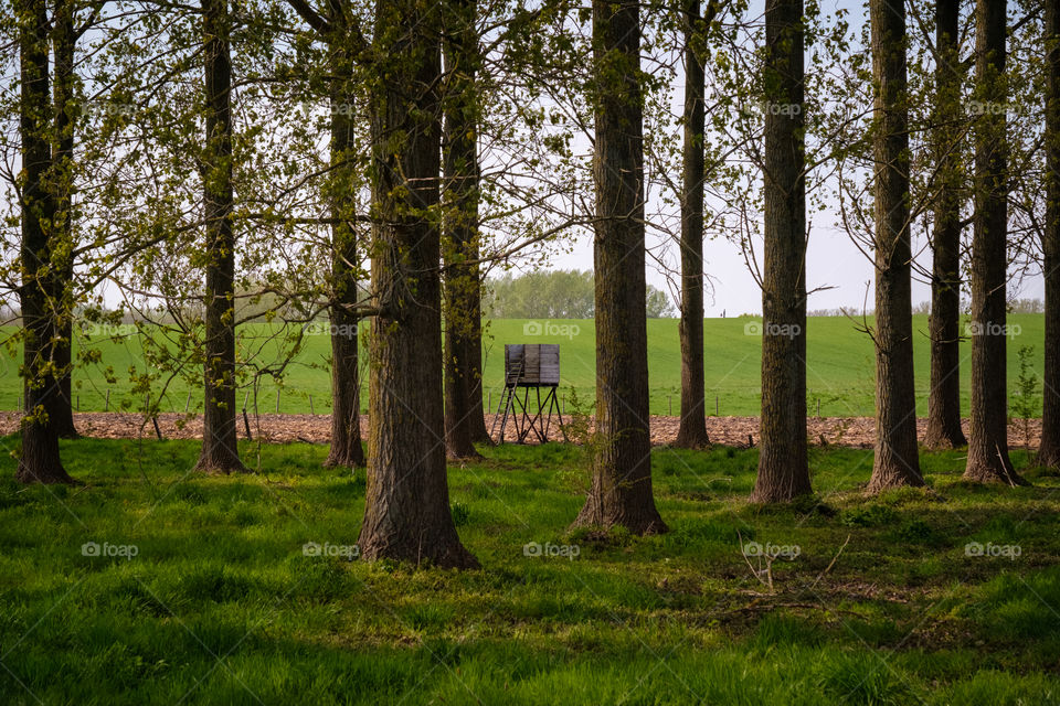 lonely hut in the forest
