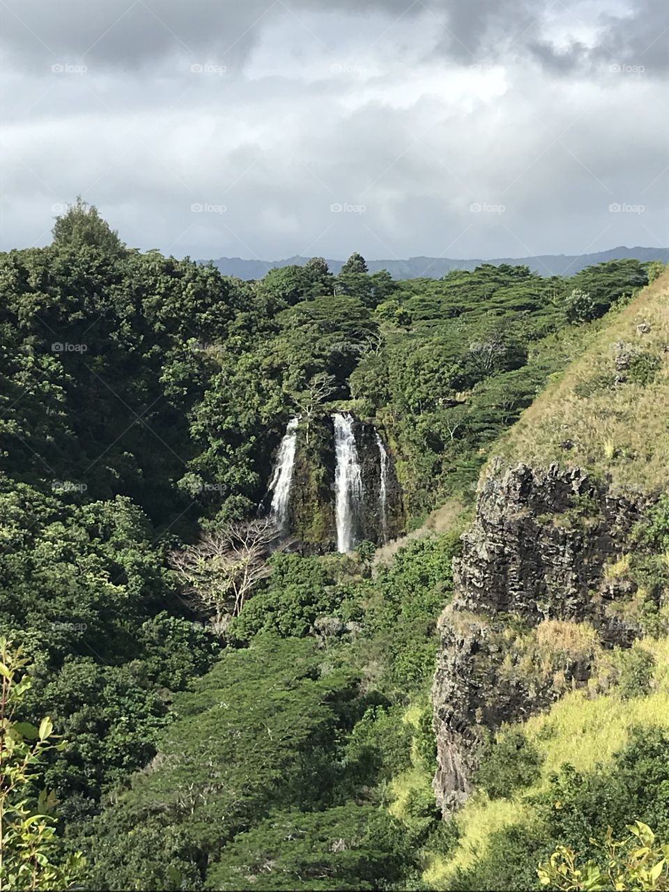 Wailua Falls 