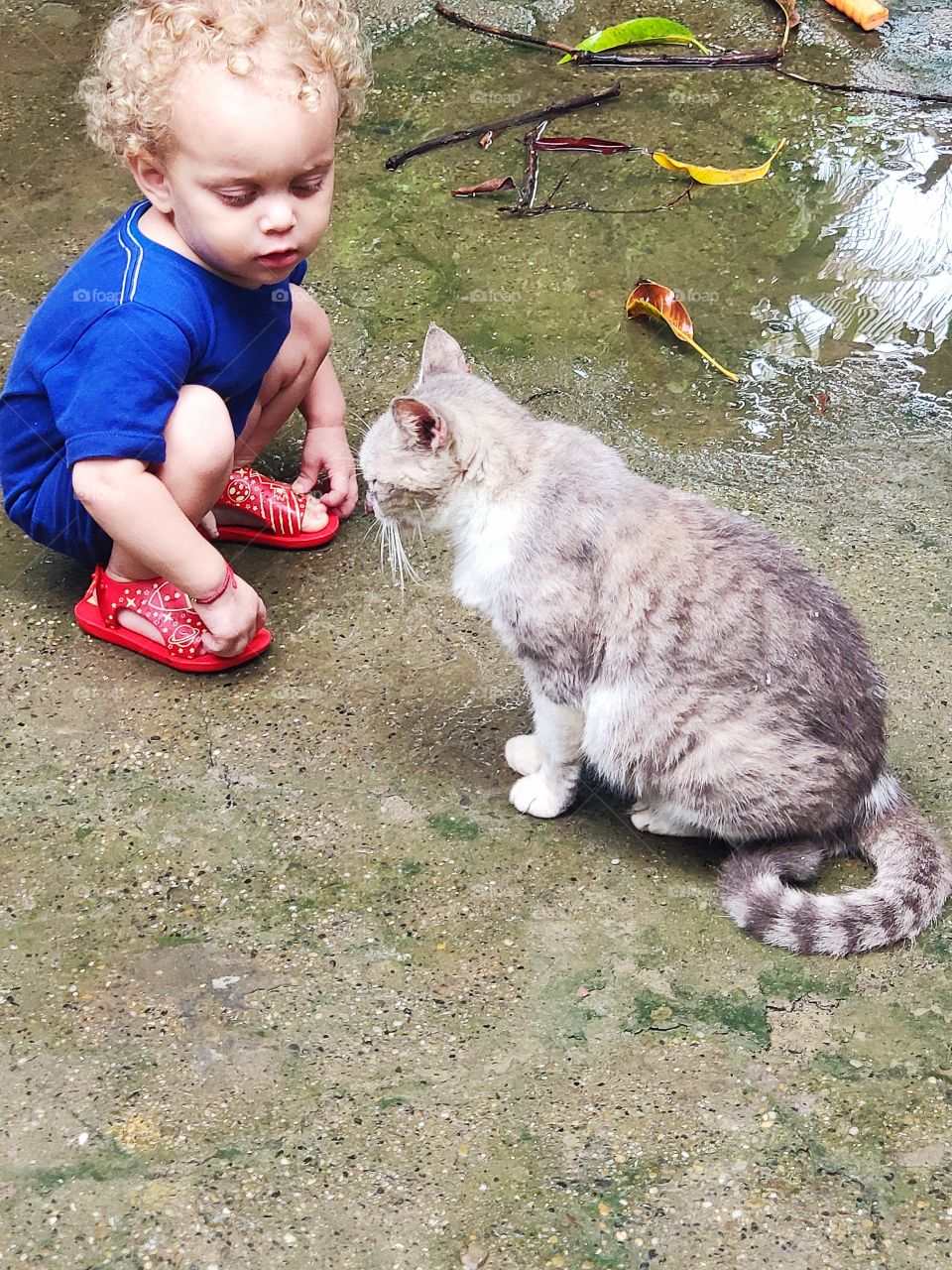 El gato y el niño..simpre juntos