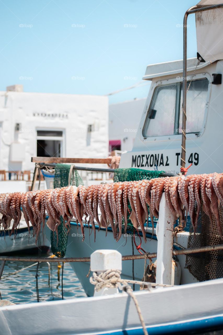Under the summer sun, Paros fishermen’s catch turns into a seaside delicacy.