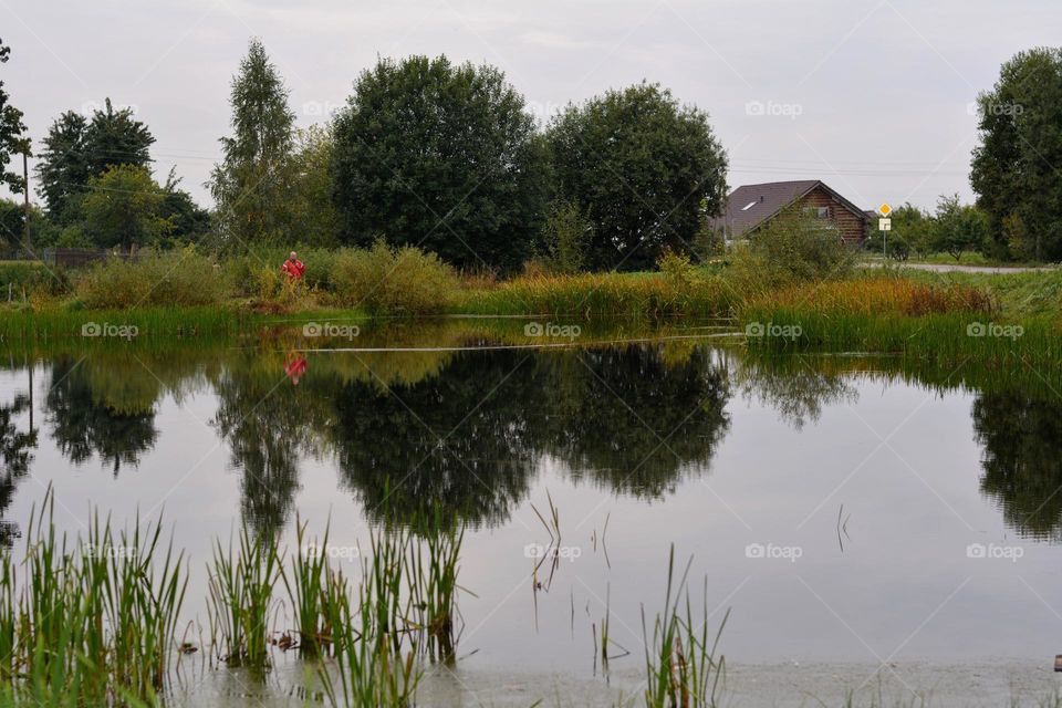 countryside beautiful nature landscape