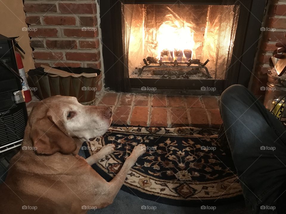 By the Fire