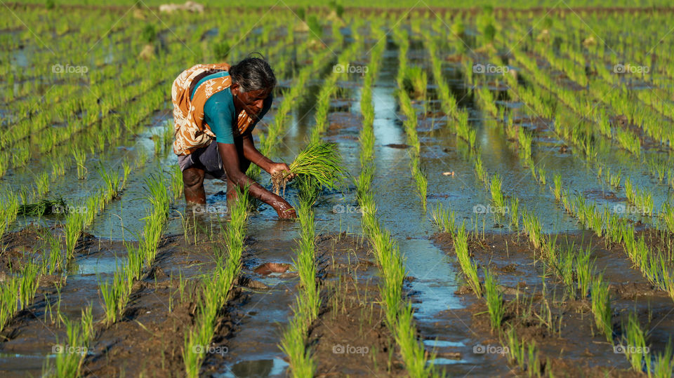 A Soulfull story of a women who is working for her nation... Giving her sweat to her peoples