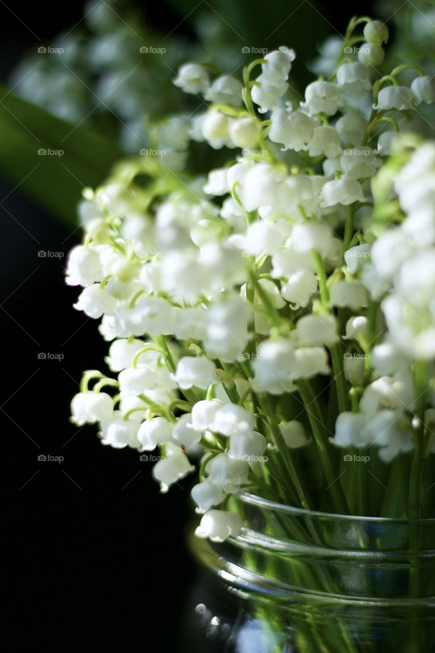 Isolated closeup of lily of the valley blossoms in a mason jar in sunlight