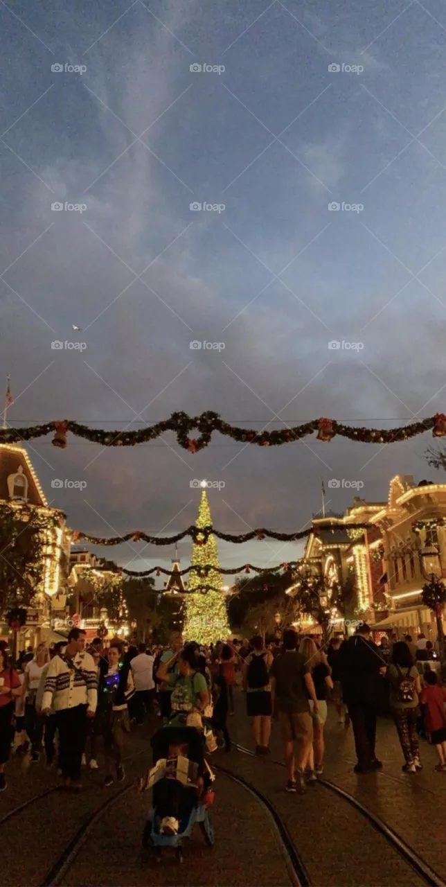 Christmas in Disneyland 