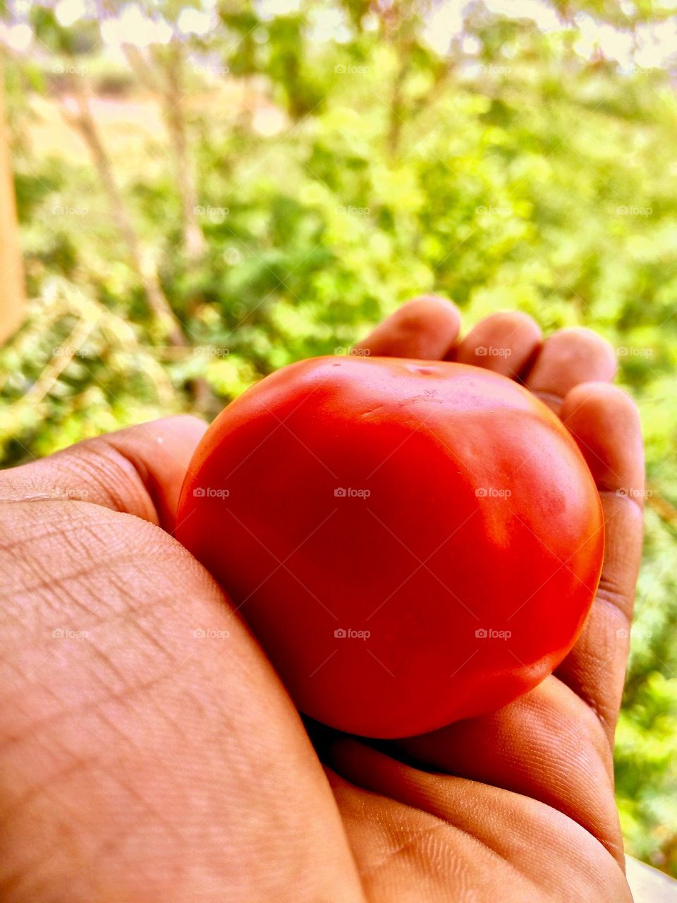 holding food 