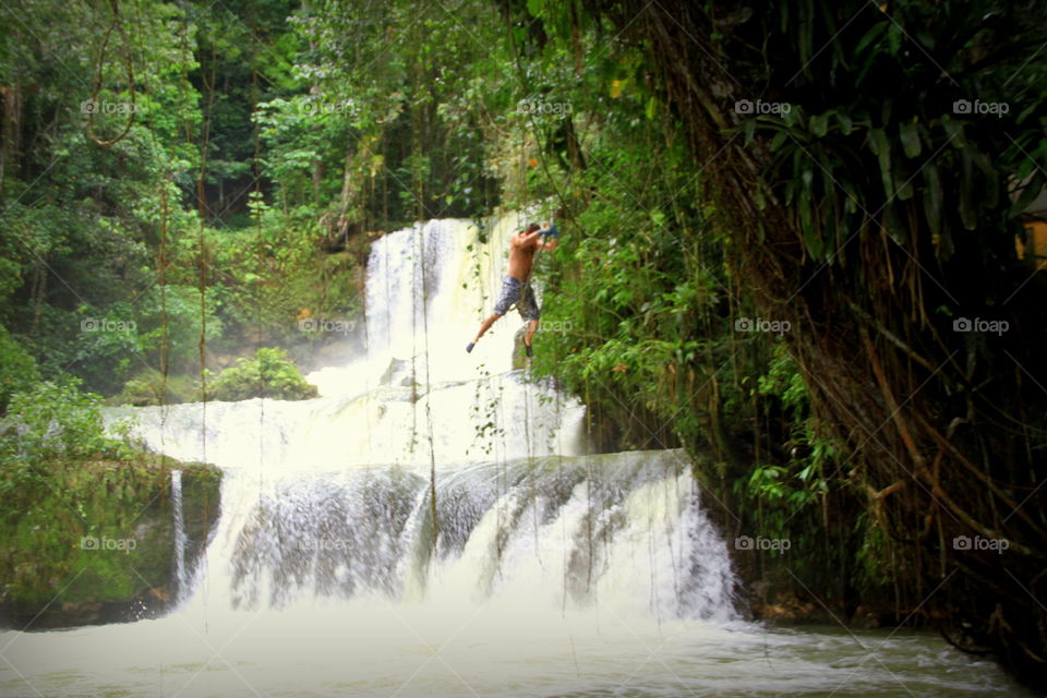 Water, Waterfall, River, Wood, Landscape