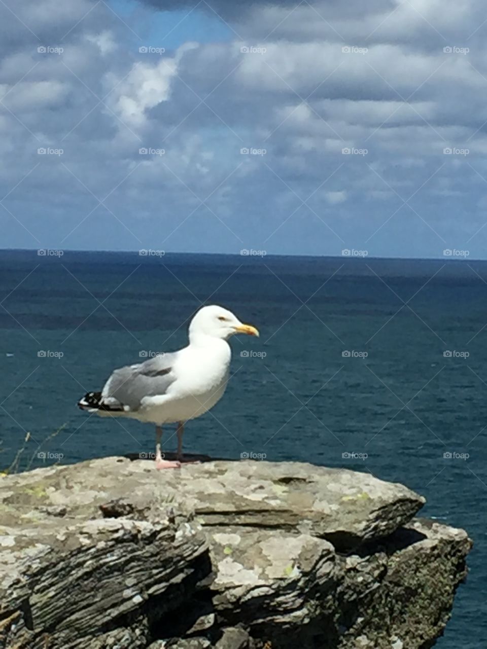 Whatcha' looking at?