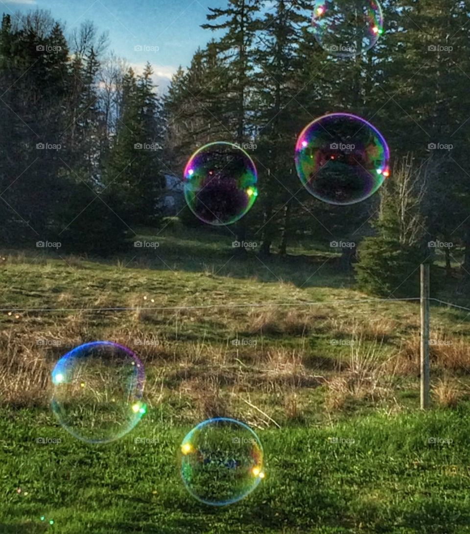 Bubbles 002