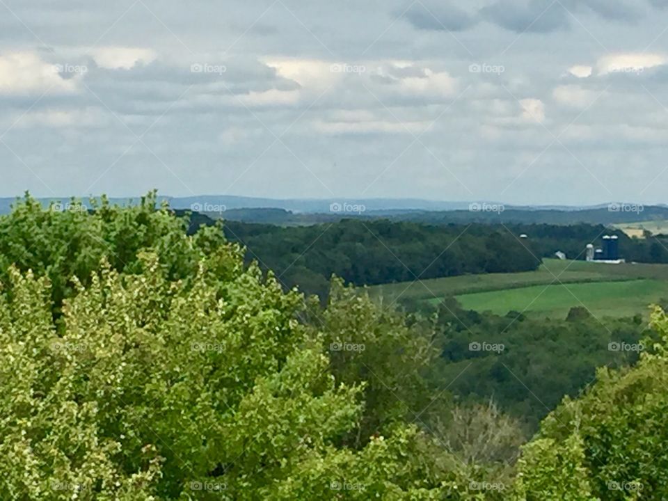 View from the observation tower 