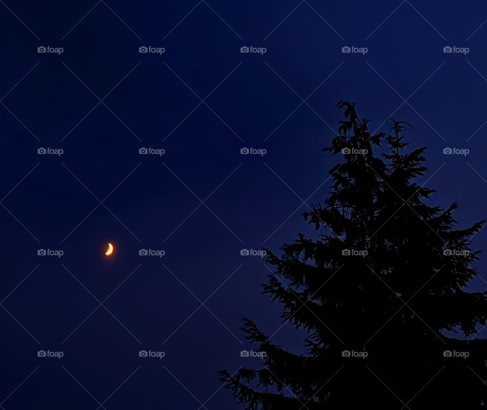 The Magical outdoors