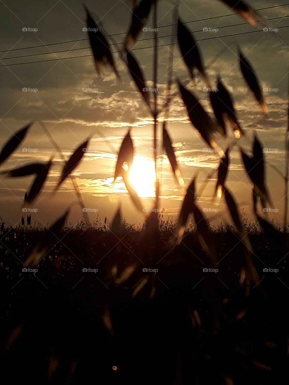 A Rural Sunset