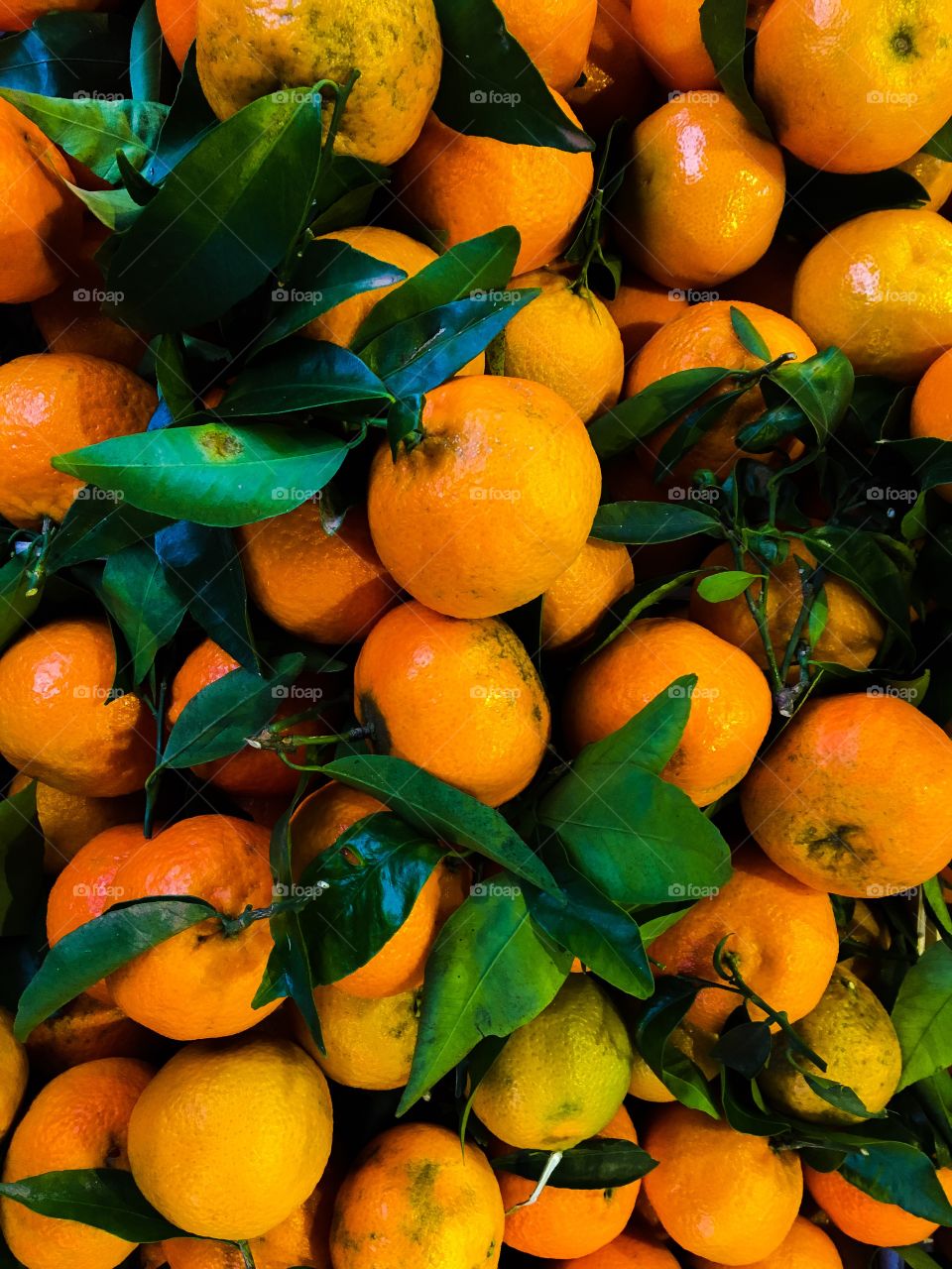 Yummy clementines/mandarins