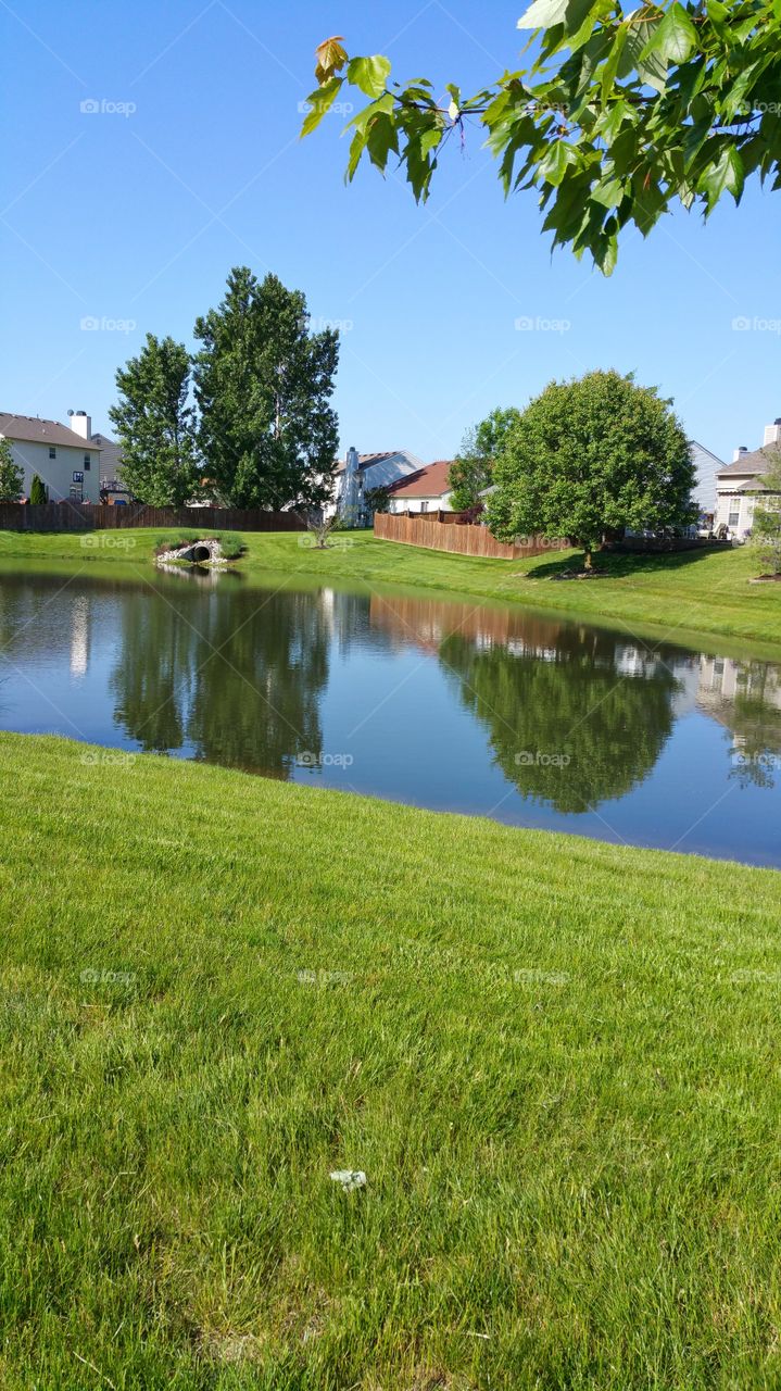 Neighborhood Pond. Water View