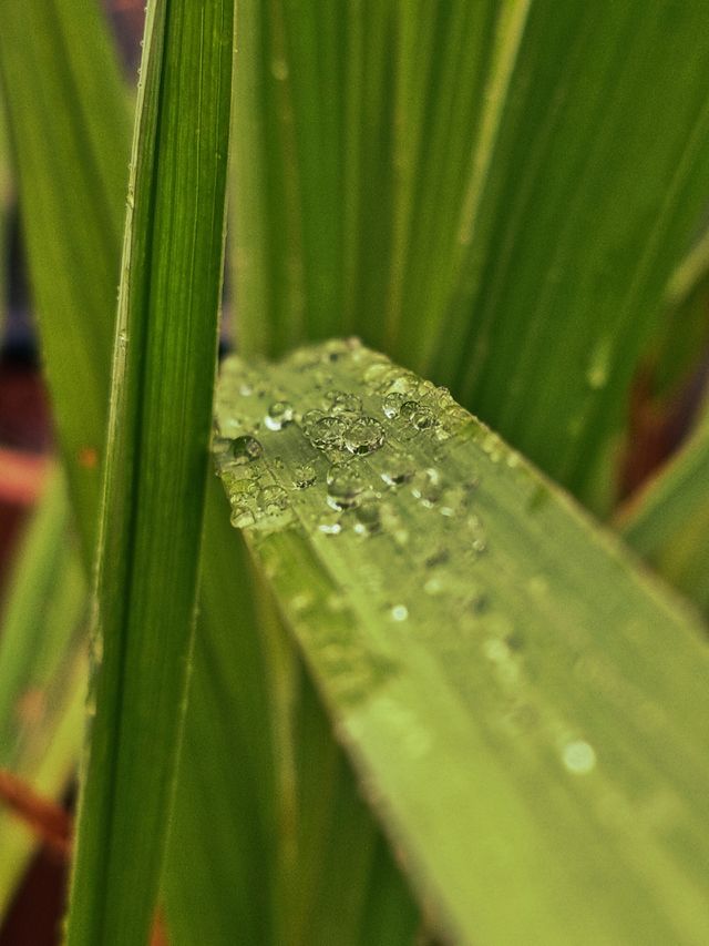 brillo de agua