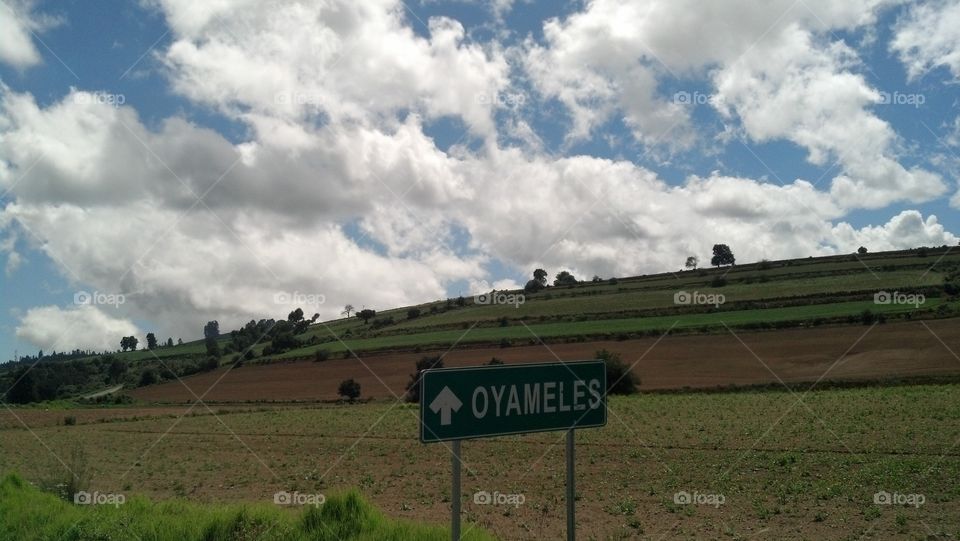 Oyameles