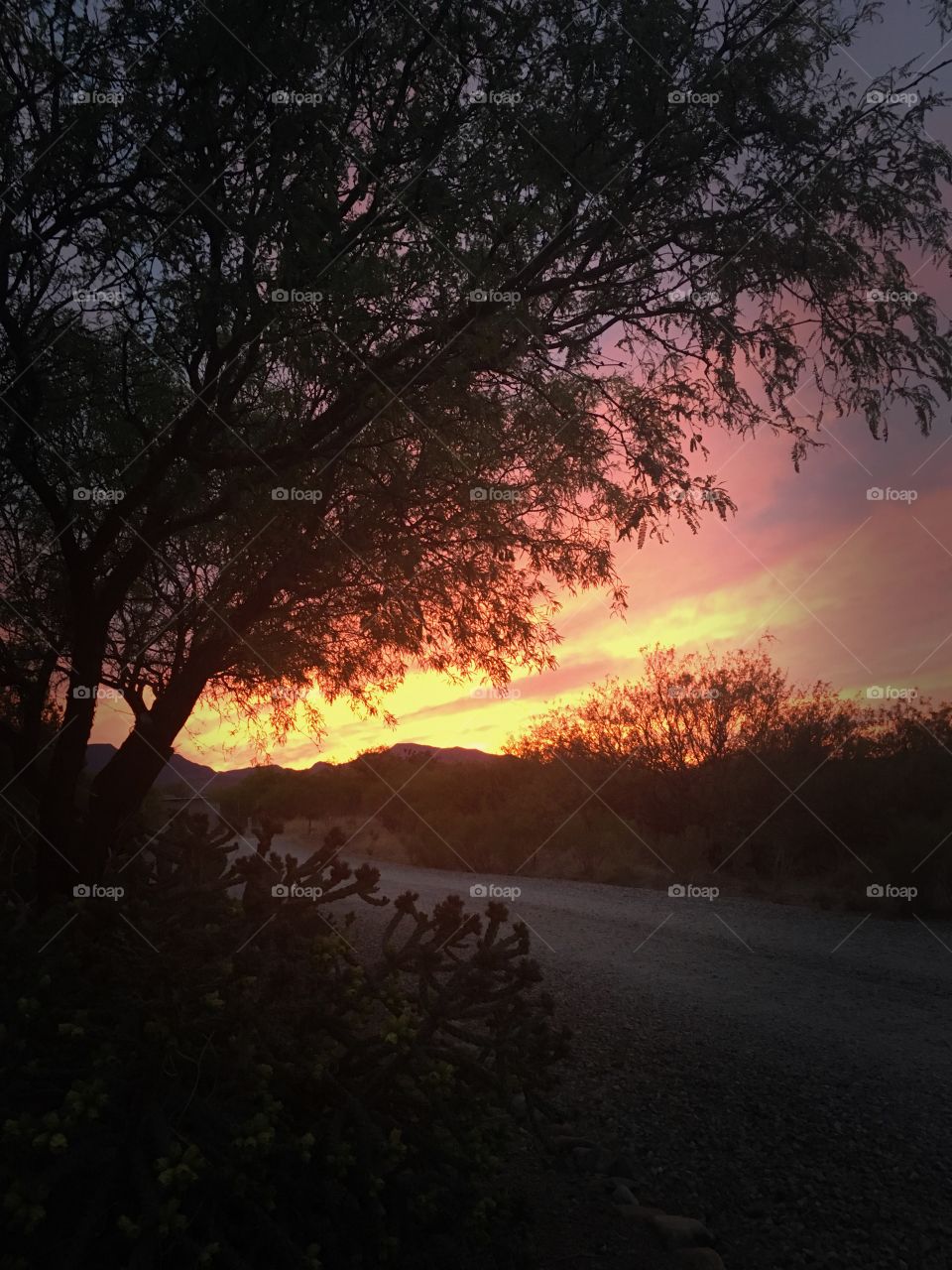 Sunset in Arizona over the huachuca mountains