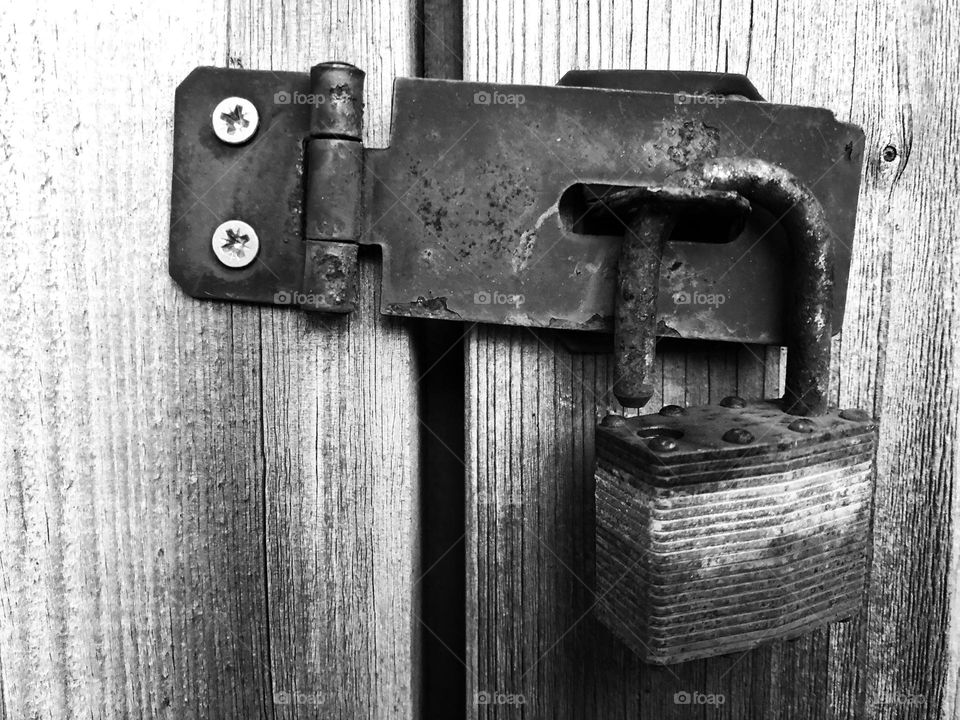 Padlocked rusty gate