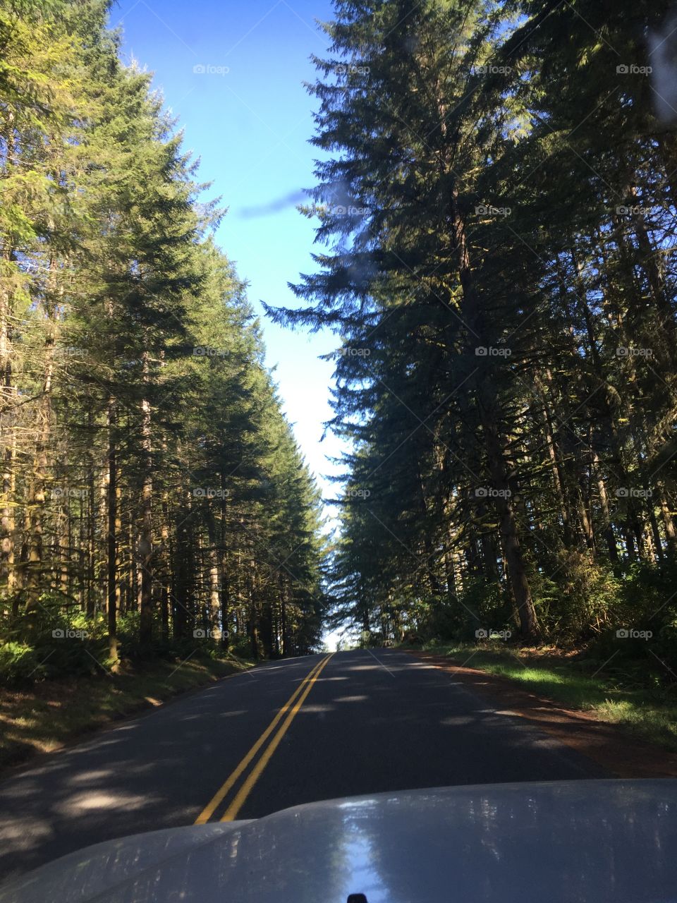 Fall time is the best time