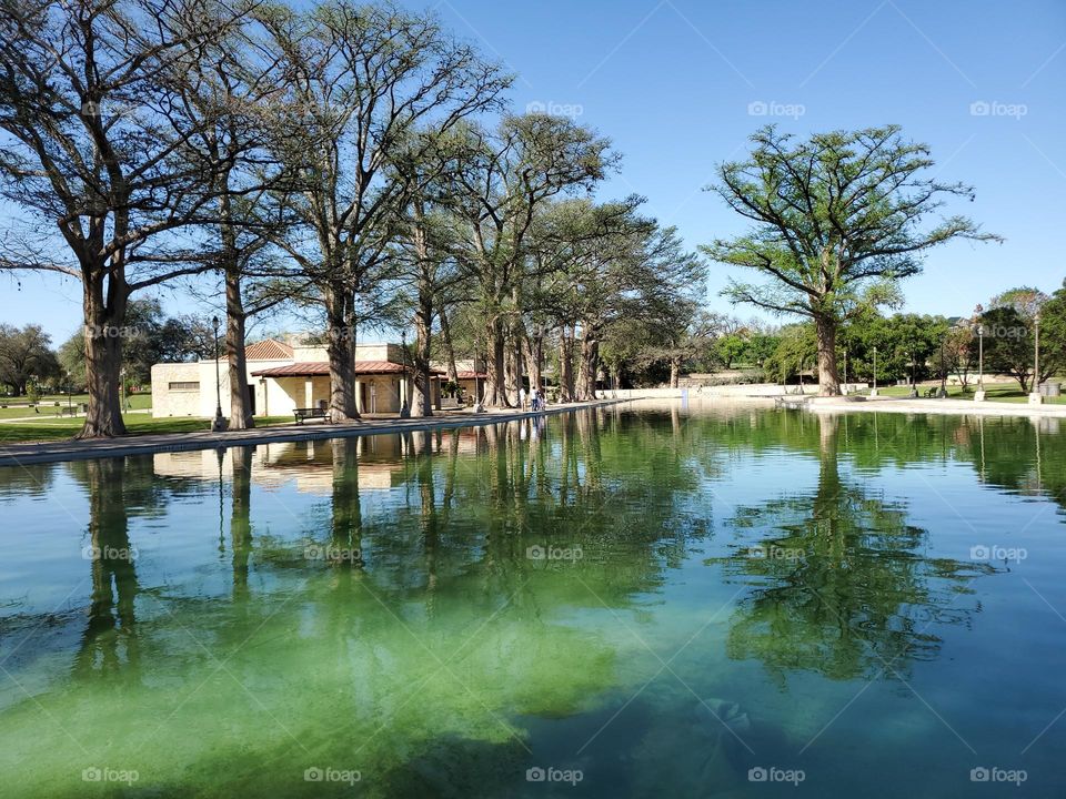 Tranquility by an all natural Spring fed pool at local city park surrounded by mature tall cypress trees.